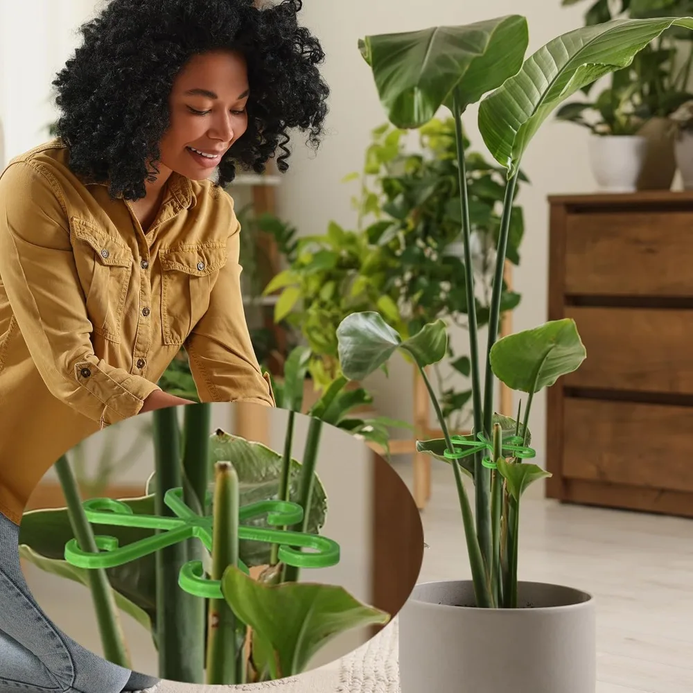 Flower Plant Stem Support Stak - đánh giá và giá Indoor Herb Garden