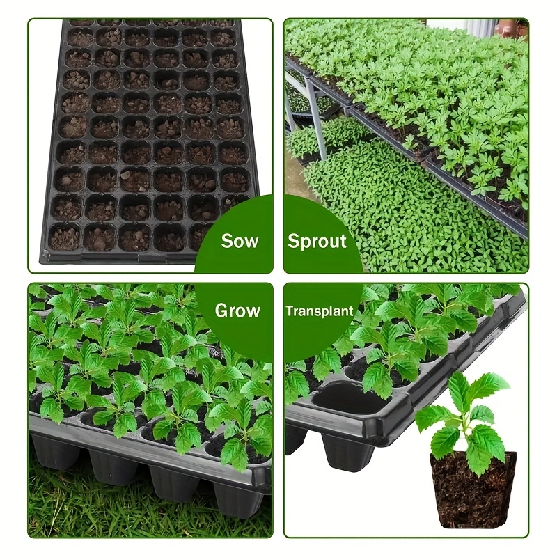 10-20 Nursery Tray, Greenhouse - đánh giá và giá Seed Starter Tray