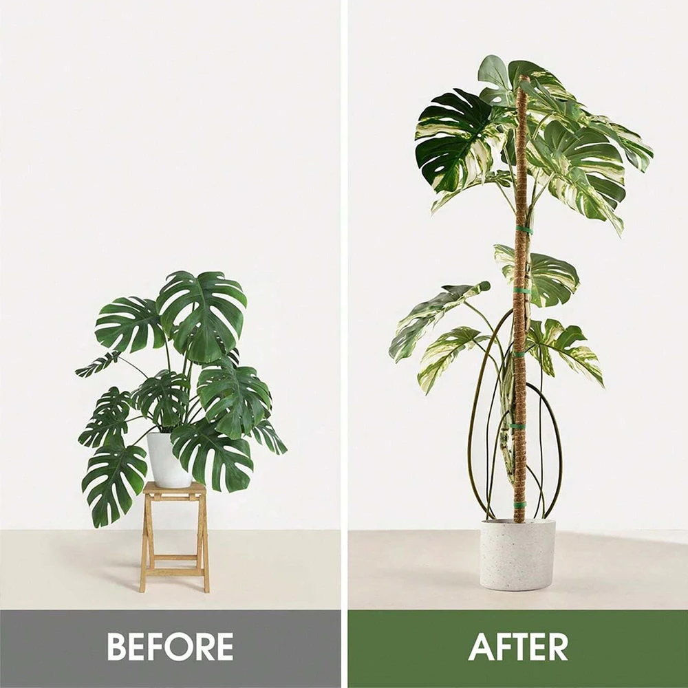 Monstera Plant Moss Pole Suppo - đánh giá và giá Indoor Herb Garden