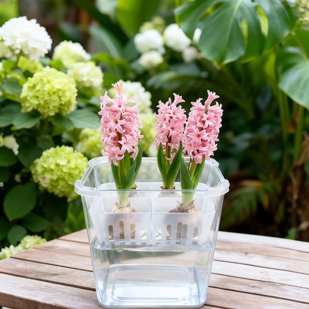 Hydroponic Vase For Tulip Lily - đánh giá và giá Plant Pot