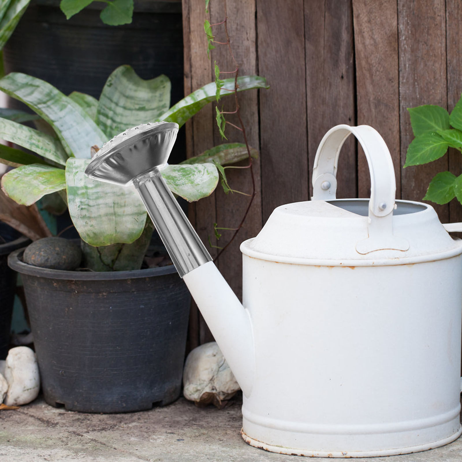 Stainless Steel Watering Can S - đánh giá và giá Watering Can