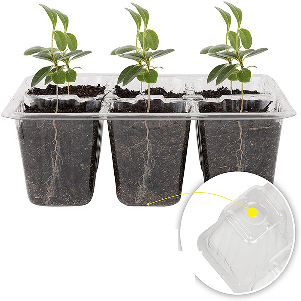 Seed Starter Trays with Grow L - đánh giá và giá Seed Starter Tray
