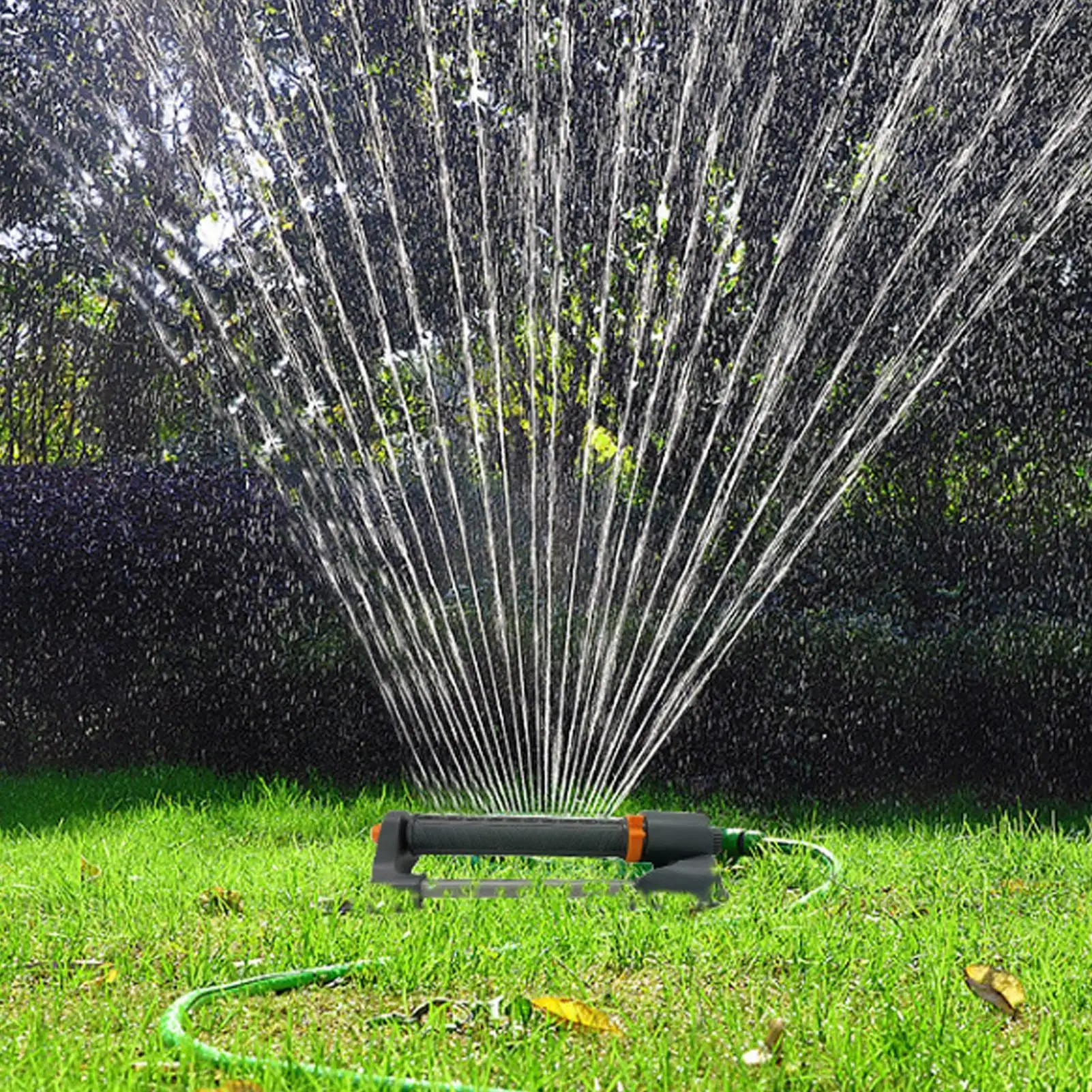 Water Sprinkler Oscillating Ga - đánh giá và giá Raised Garden Bed