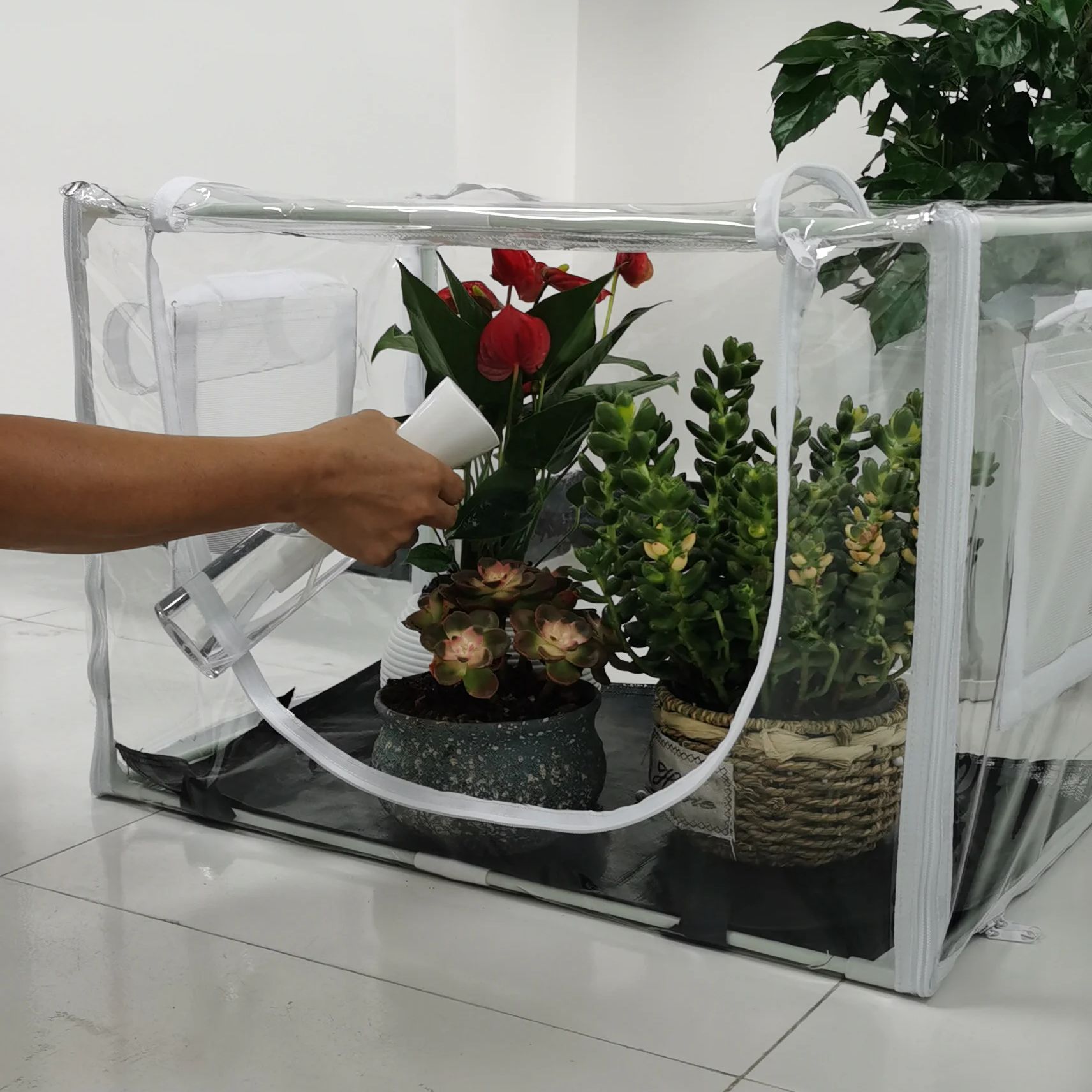Compact Indoor/Outdoor Greenho - đánh giá và giá Grow Bag