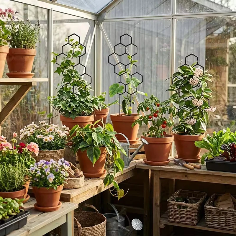 2/4pcs Honeycomb Design Plant  - đánh giá và giá Indoor Herb Garden