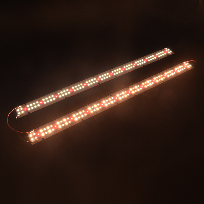 High Quality IP55 Rated COB LE - đánh giá và giá Grow Light Led