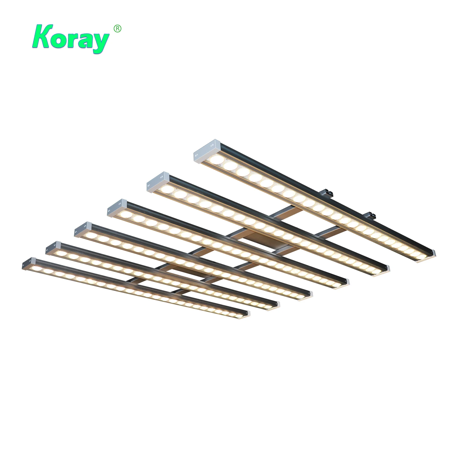 Koray 900W Indoor full spectru - đánh giá và giá Grow Light Led