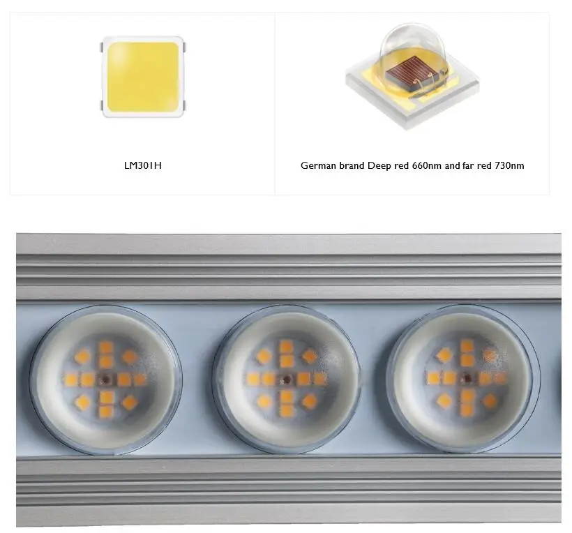 Koray 900W Indoor full spectru - đánh giá và giá Grow Light Led